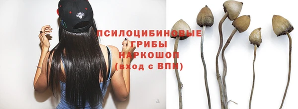 мяу мяу мука Ессентукская