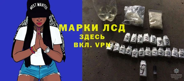 сатива Аркадак