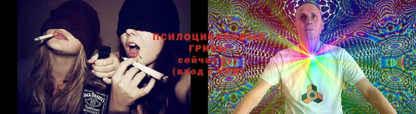 марки nbome Новосибирск